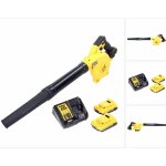 DeWalt DCV 100 D2 – HobbyKompas.cz