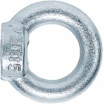 Závěsná matice RI M 6 DIN582 Zn 70kg – Sleviste.cz