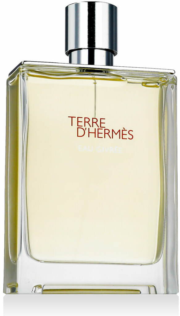 Hermès Terre D'Hermès Eau Givrée parfémovaná voda pánská 175 ml plnitelný