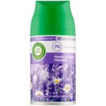 Air Wick Freshmaticic levandule 250 ml – HobbyKompas.cz