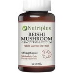 Nutriplus Reishi 60 kapslí – Hledejceny.cz