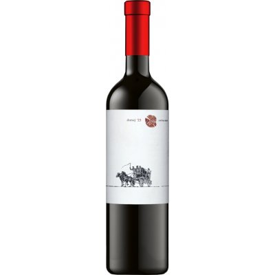 Chateau Rúbaň Dunaj 2023 15% 0,75 l (holá láhev) – Hledejceny.cz