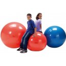 Body Physio ball Gymnic 95cm BRQ
