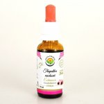 Salvia Paradise Echinacea třapatka nachová AF tinktura 30ml – Hledejceny.cz