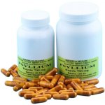 Krmiva Hulín Psyllium Rozpustná vláknina pro psy tbl 700 mg 150 ks – Hledejceny.cz