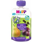 HiPP Bio iS Hruška černý rybíz švestka 100 g – Hledejceny.cz