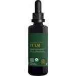 Global Healing Extrakt z bazalky posvátné TULSI 59,2 ml – Hledejceny.cz