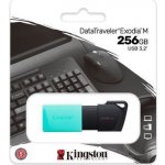 Kingston DataTraveler Exodia M 256GB DTXM/256GB – Hledejceny.cz