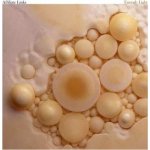 Affiliate Links - Enough Light LP – Hledejceny.cz