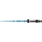 VDW RECIPROC® Blue 21mm ISO 40 Černá 6ks – Hledejceny.cz