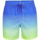 O'Neill Cali gradient 15'' Swim shorts