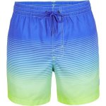 O'Neill Cali gradient 15'' Swim shorts – Hledejceny.cz