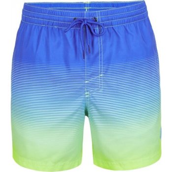 O'Neill Cali gradient 15'' Swim shorts