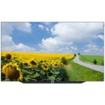 Loewe bild s.77 – Zboží Živě