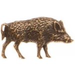 Zubíček Divočák (odznak na klobouk) – Zboží Dáma