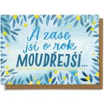 Chaukiss A zase jsi o rok moudřejší – Sleviste.cz
