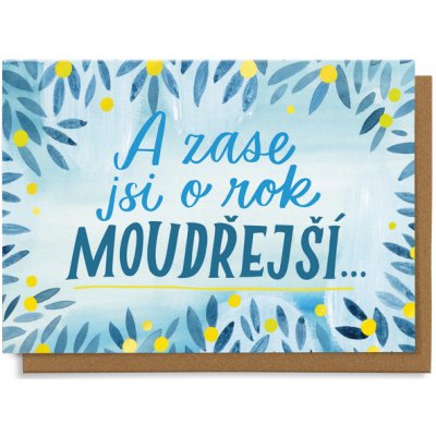 Chaukiss A zase jsi o rok moudřejší – Sleviste.cz