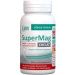 Astina SuperMag B6 chelat 100 kapslí – Hledejceny.cz