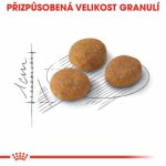 Royal Canin Aroma Exigent 4 kg – Zboží Mobilmania
