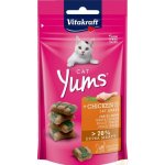 Vitakraft Cat Yums Kuře & kočičí tráva 40 g – Sleviste.cz