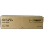 Ricoh A248-9510 - originální – Hledejceny.cz