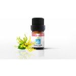 Bewit Ylang Ylang Esenciální olej 5 ml – Hledejceny.cz