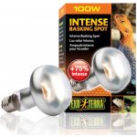 Hagen Exo Terra Intense Basking Spot 100 W – Sleviste.cz