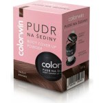 Colorwin Pudr na šediny černý 3,2 g – Zboží Dáma