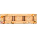 Yankee Candle Mango Ice Cream 3 x 37 g