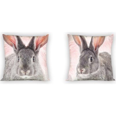 Faro Rabbit Pubcottle 40 x 40 cm – Hledejceny.cz