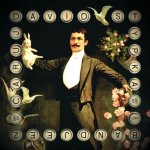 David Stypka & Bandjeez - Čaruj CD – Zboží Dáma