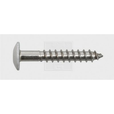 SWG 211545620 vrut na dřevěné fasády 5.5 mm 45 mm T profil nerezová ocel A4 100 ks – Hledejceny.cz