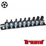 Triumf 100-00441 - Sada hlavic zástrčných, ořechů (GOLA) 1/4" TS 10-50, Five Lobe IPR s bezpečnostním otvorem – Sleviste.cz