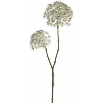 Edelman Květina Pastinák, růžová, 83 cm|Ego Dekor