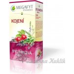 Megafyt Bylinková lékárna Kojení 20 x 1,5 g – Zbozi.Blesk.cz