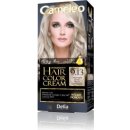 Delia Cameleo barva na vlasy 9.13 champagne Blond