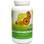 Wetyzo pH Minerals Odkyselení organismu 302 g – Hledejceny.cz