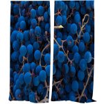IMPAR Závěsy Hroznové víno (Rozměr : 140x250, Materiál: Interlock) – Hledejceny.cz