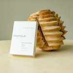 FORTUNA Extra regenerační maska s propolisem 10 ks 250 g – Zboží Dáma