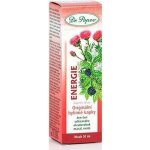 Dr.Popov Energie bylinné kapky 50 ml – Hledejceny.cz