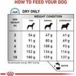 Royal Canin Veterinary Health Nutrition Anallergenic Small Dog 1,5 Kg – Zboží Mobilmania