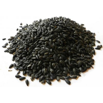 Krmné směsi Kvídera Slunečnice černá pro ptáky 20 kg – Zboží Dáma