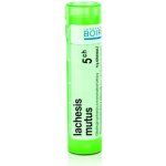 LACHESIS MUTUS POR 5CH GRA 4G – Hledejceny.cz