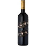 Francis Ford Coppola Directors Cut Dry Creek Valley Zinfandel 2021 14,4% 0,75 l (holá láhev) – Hledejceny.cz