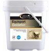 Péče o kopyta koní HORSE MASTER Equisport Gestation Minerální doplněk krmiva pro březí klisny 3 kg