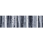 AG Design WB-8207 samolepící bordura Bříza, rozměry 0,14 x 5 m – Zboží Dáma