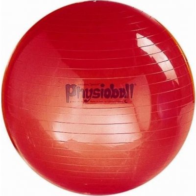 Pezzi Physioball Standard 95 cm – Sleviste.cz