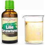 Bylinné kapky Pavlovy Lilie Brownova TCM tinktura 50 ml – Hledejceny.cz