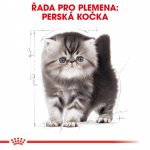 Royal Canin Persian Kitten 4 kg – Hledejceny.cz