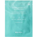 Mizon Cicaluronic Water Fit Mask 24 g – Zboží Dáma